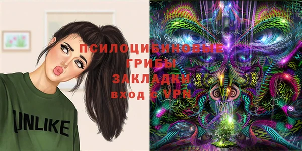 прущие крисы Кукмор