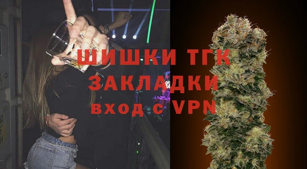 гидра Вяземский