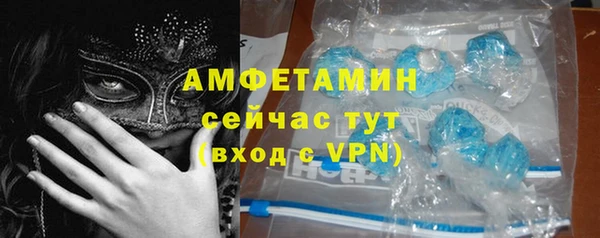 индика Мамадыш
